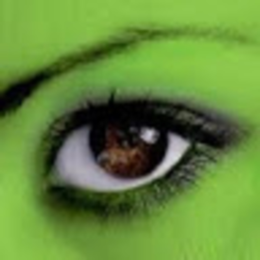 Meet your Posher, Gina